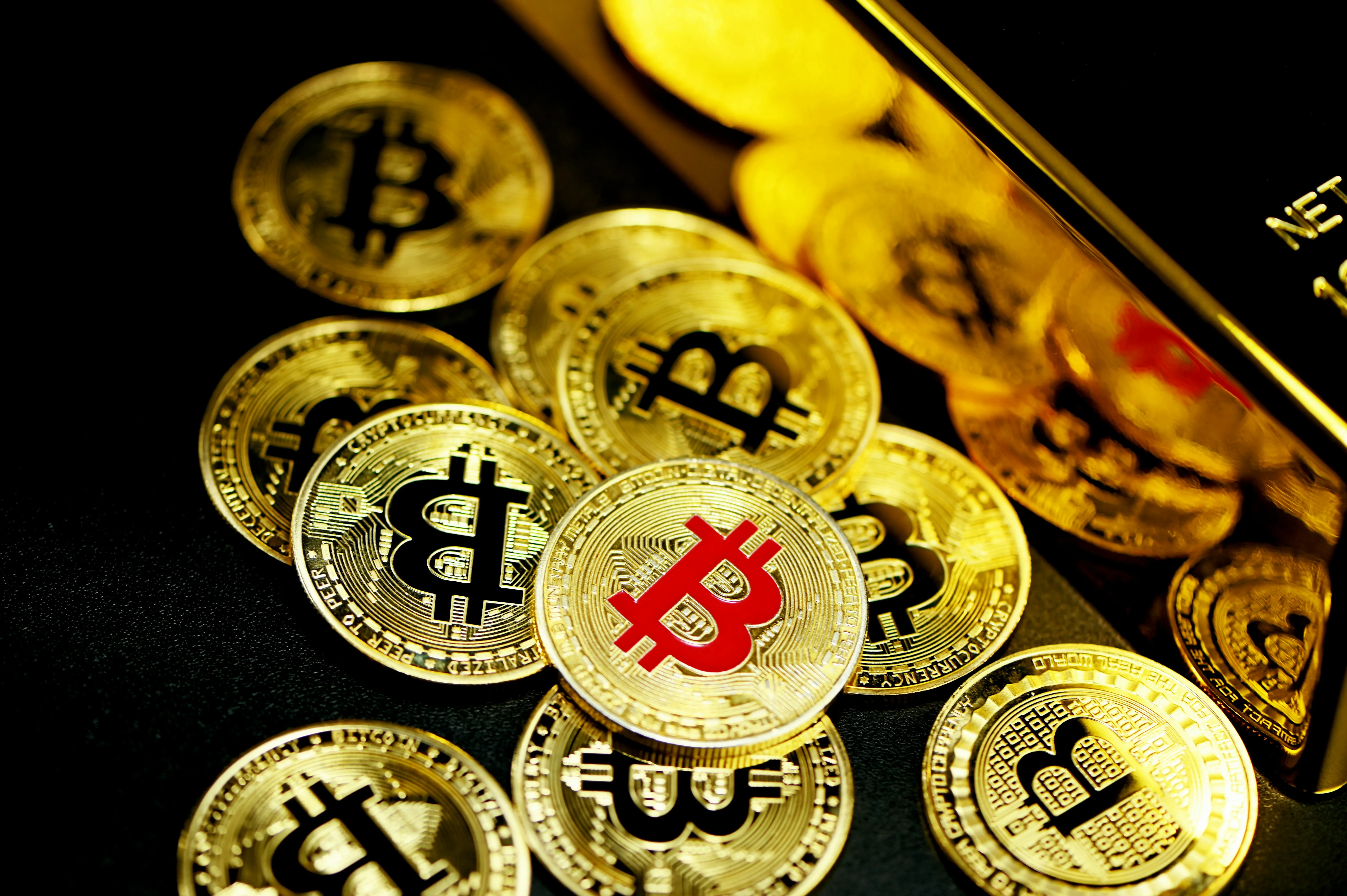 Các loại cá vừa