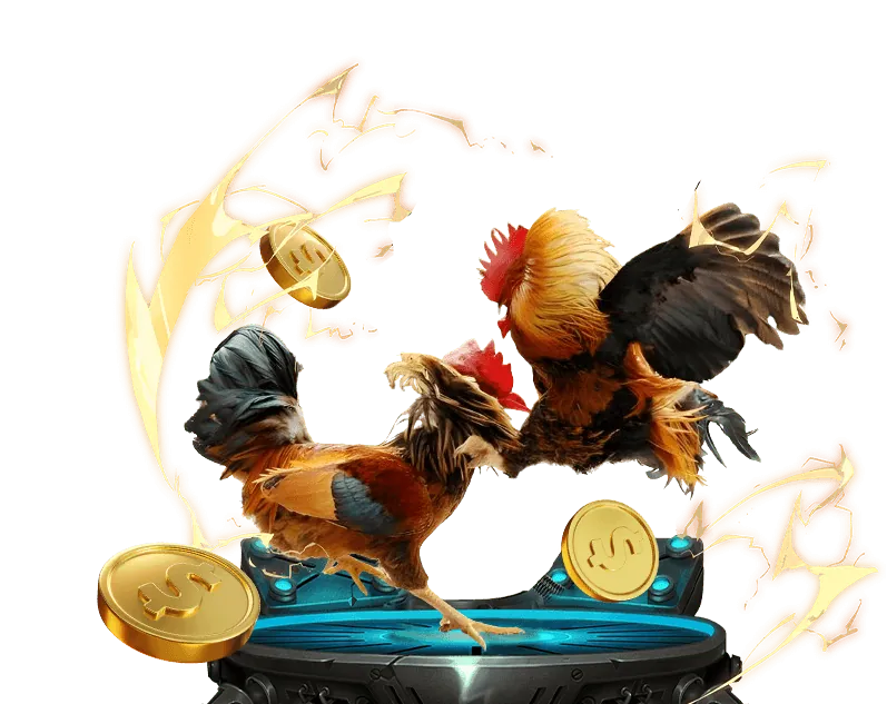 Chương trình khuyến mãi hấp dẫn